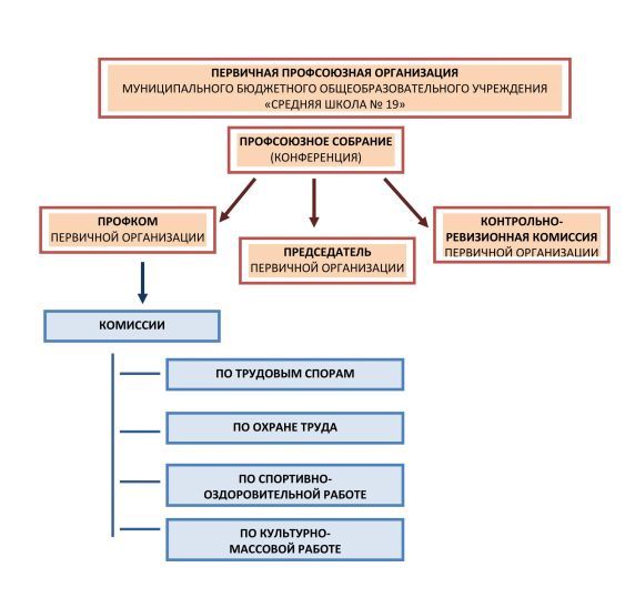 Схема профсоюзной организации структура первичной